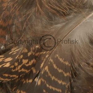 Grouse - Rype kropsfjer Natural brownspeck