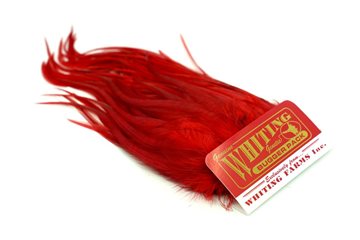 Whiting Bugger Pack Dyed Red