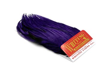 Whiting Bugger Pack Dyed Purple