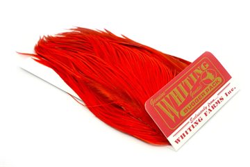 Whiting Bugger Pack Dyed Orange